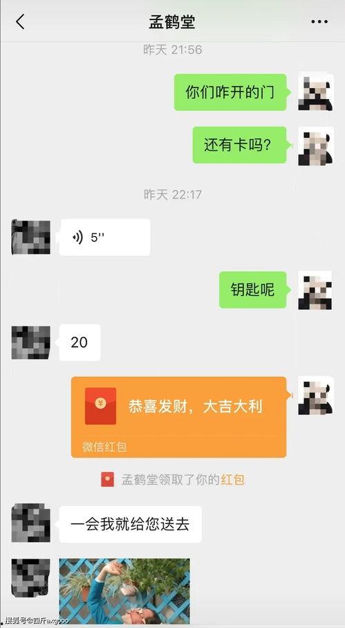 吃瓜网红聊天记录图片,一场娱乐圈幕后风波的幕后真相