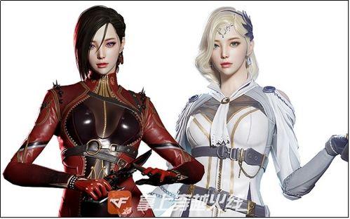 女帝最新爆料网站,揭秘神秘网站背后的惊人真相